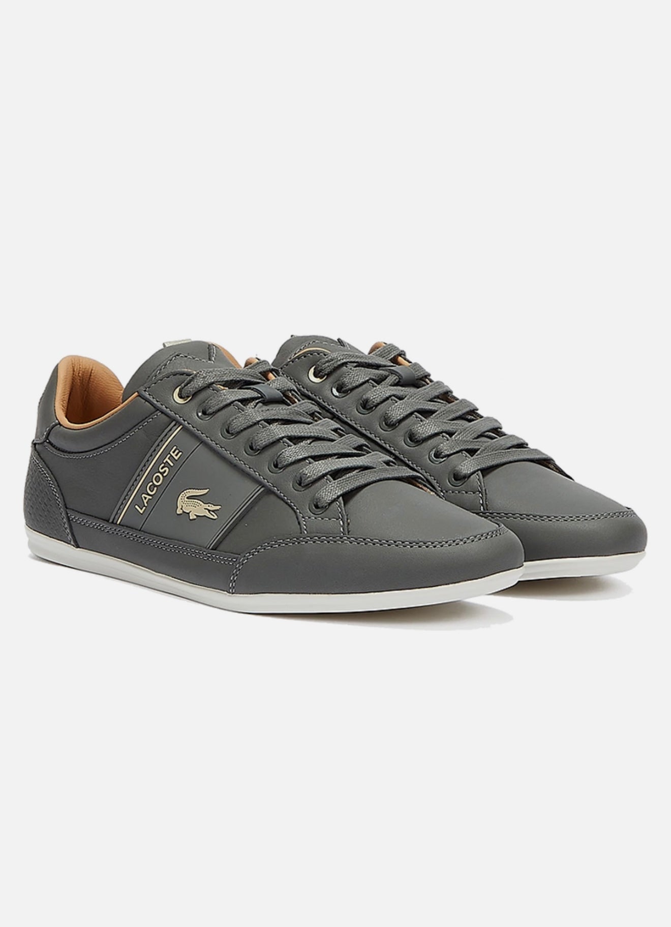 Lacoste Chaymon 0321 1 CMA Leather - 710CMA0010-2M1 - Adults