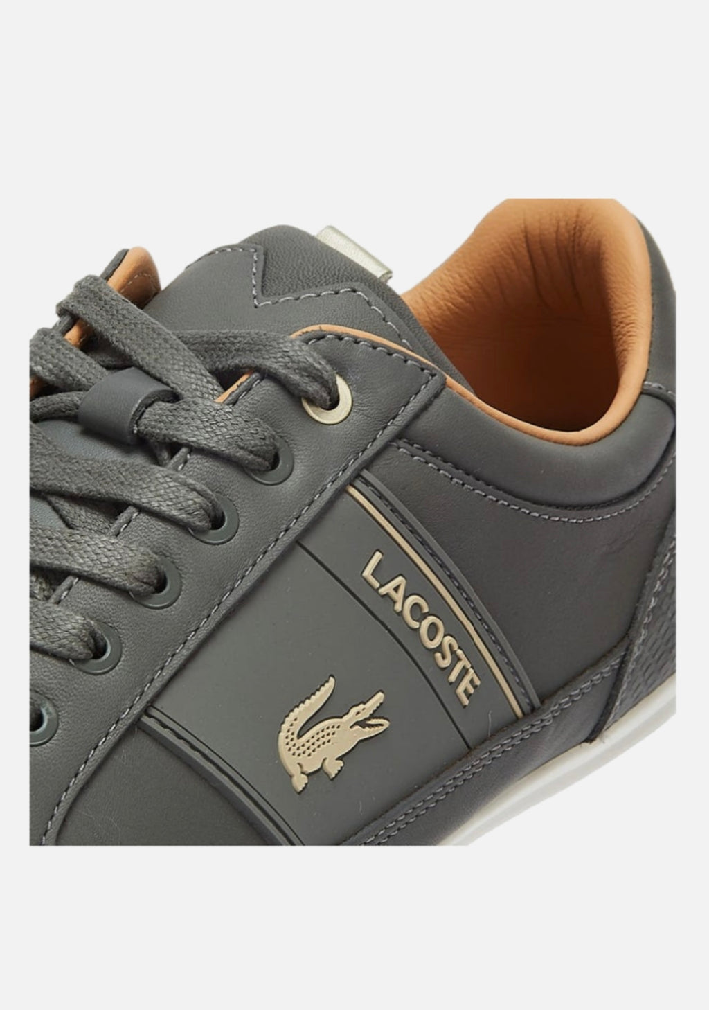 Lacoste Chaymon 0321 1 CMA Leather - 710CMA0010-2M1 - Adults