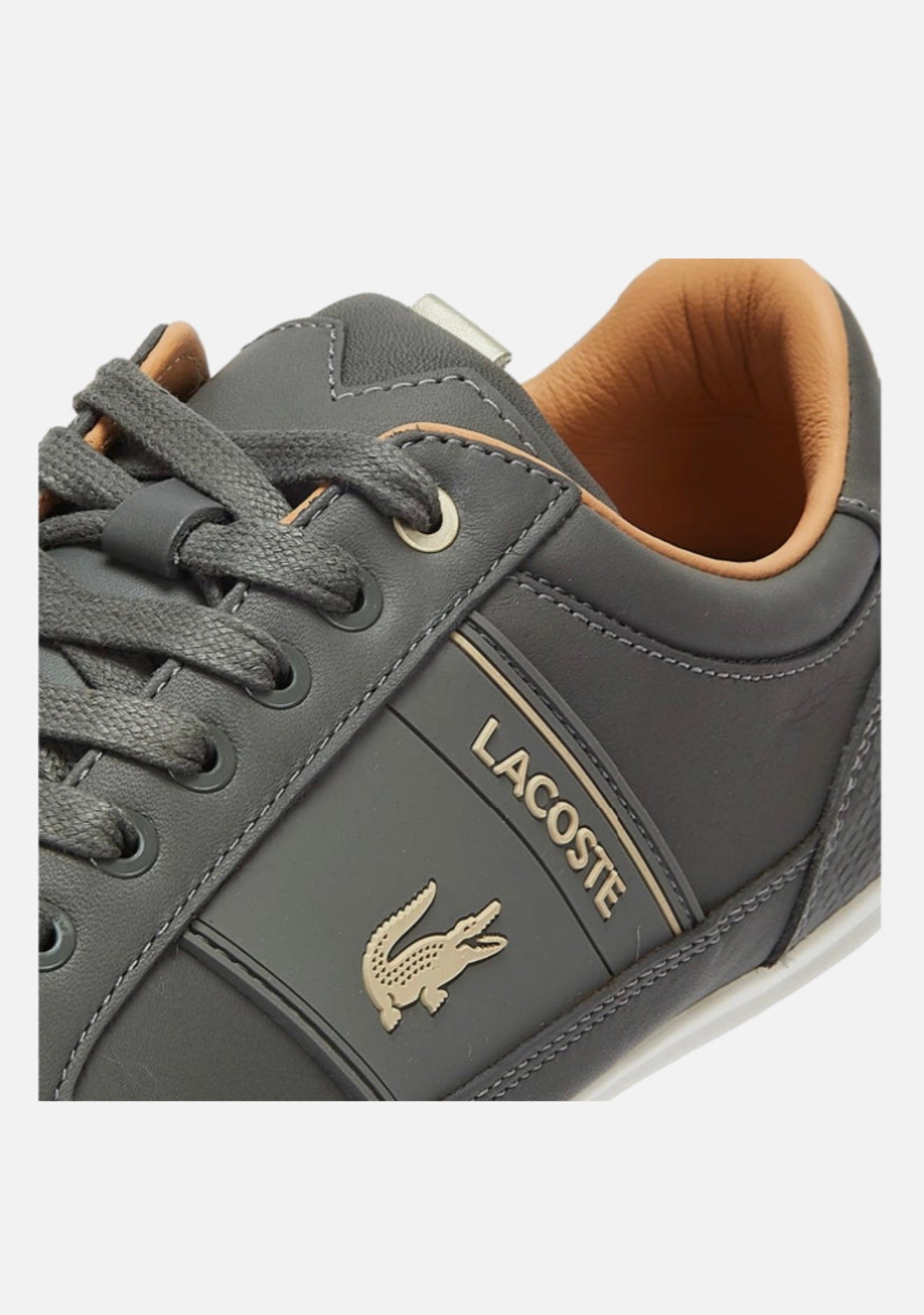 Lacoste Chaymon 0321 1 CMA Leather - 710CMA0010-2M1 - Adults